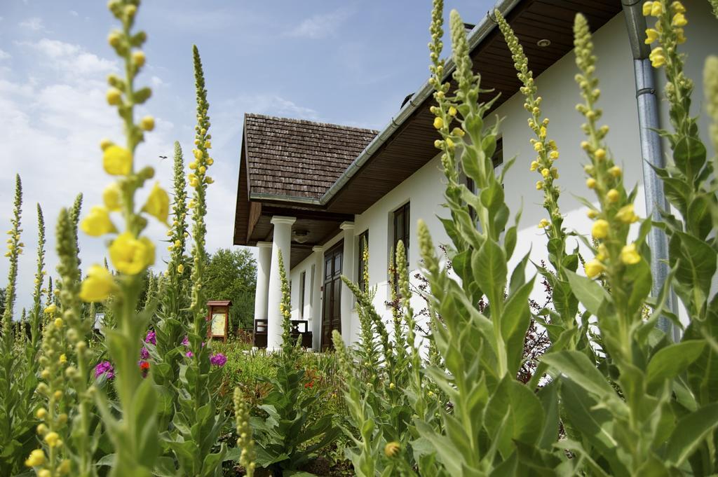 Zagrodowa Osada Villa Kazimierz Dolny Exterior photo